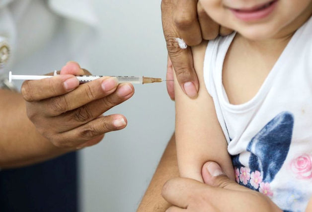 Imunização com a vacina BCG para recém-nascidos de Ibirama deve ser agendada